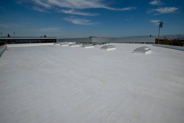 Best Commercial Roofing Services  in Paradise, NV
