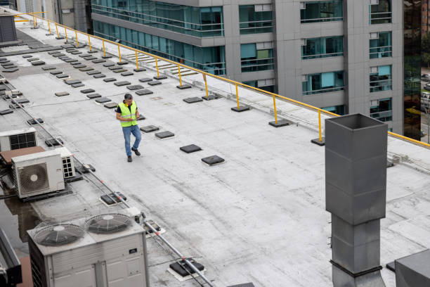 Best Rubber Roofing (EPDM, TPO)  in Paradise, NV