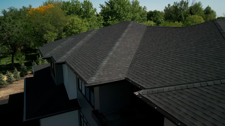 Best Roof Moss and Algae Removal  in Paradise, NV