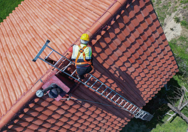 Best Green or Eco-Friendly Roofing Solutions  in Paradise, NV