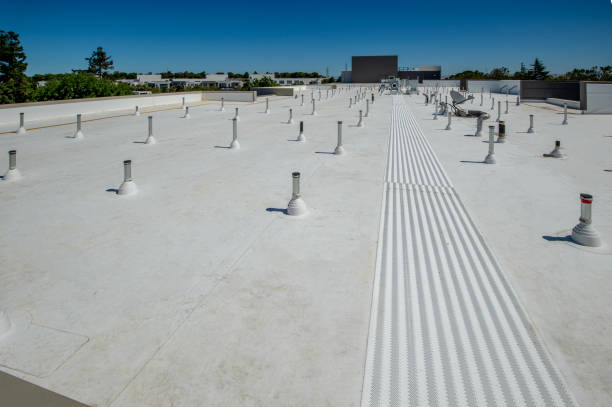 Best Roof Ventilation Installation  in Paradise, NV